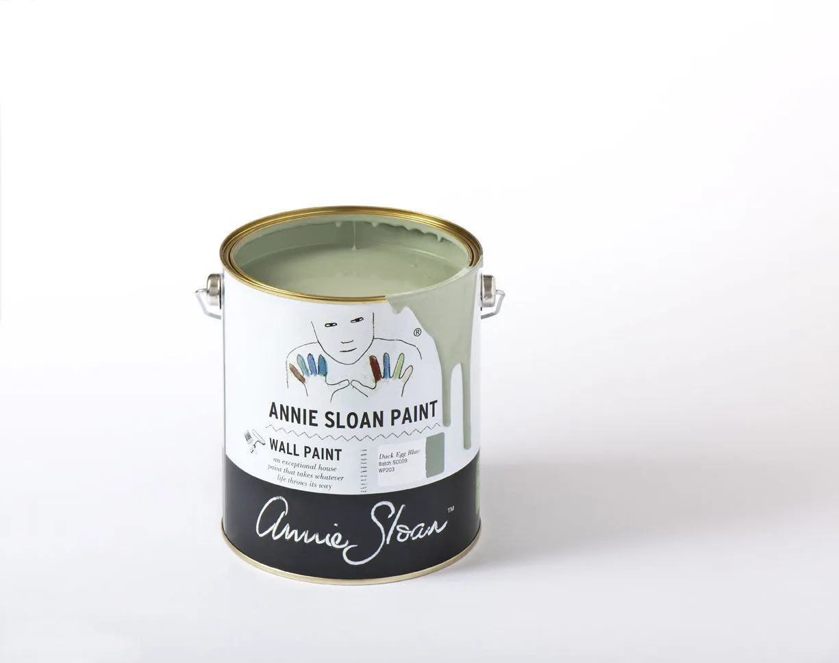 Duck Egg Blue Annie Sloan Wall Paint