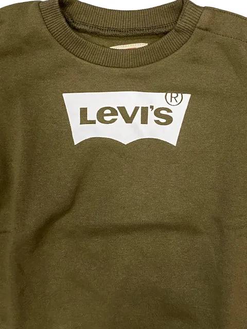 Levi's Kids baby sweatshirt with classic logo 6E9079 E1F green