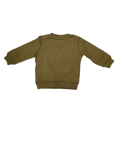 Levi's Kids baby sweatshirt with classic logo 6E9079 E1F green